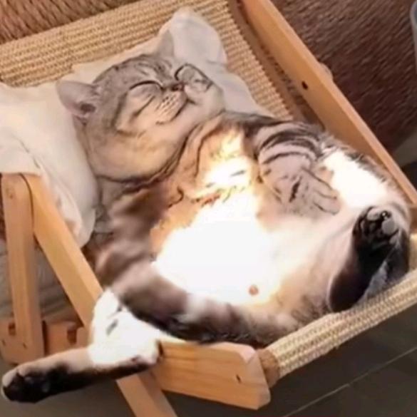 牛纯洁