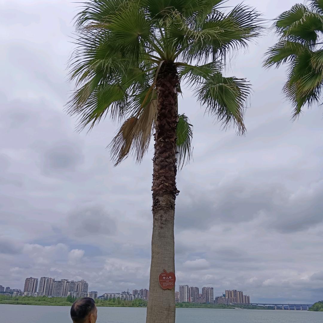 追求幸福