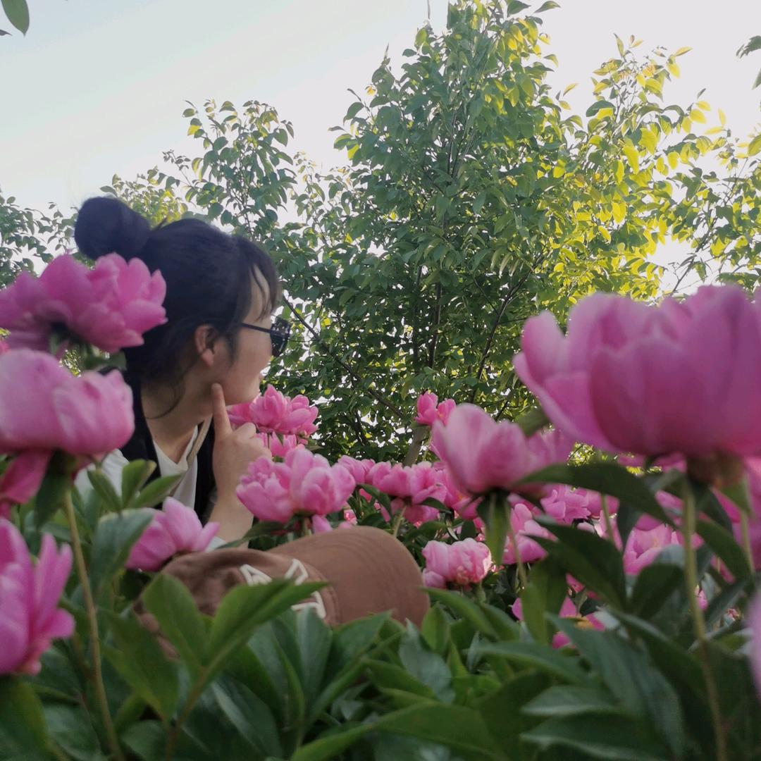 雅倩