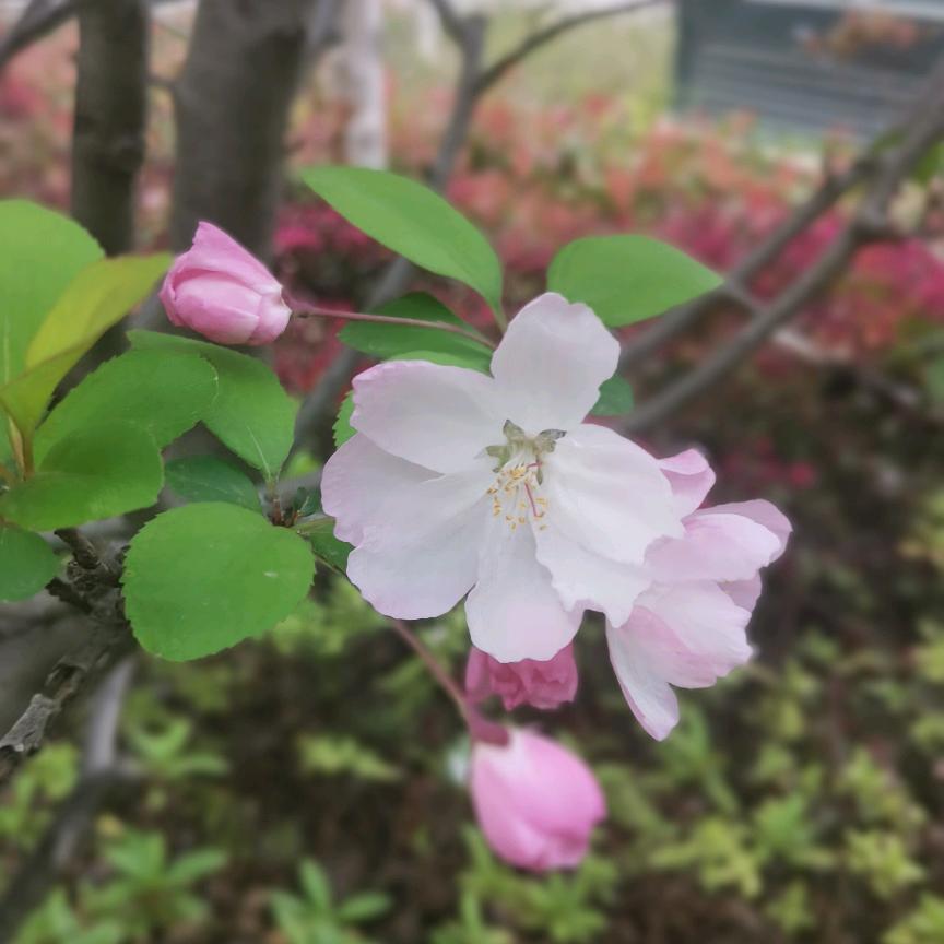 亿米阳光