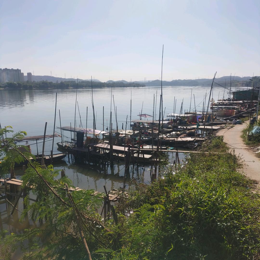 生记   ο▬▬▬▬▬◙▅▅▆▆▇▇▇◤