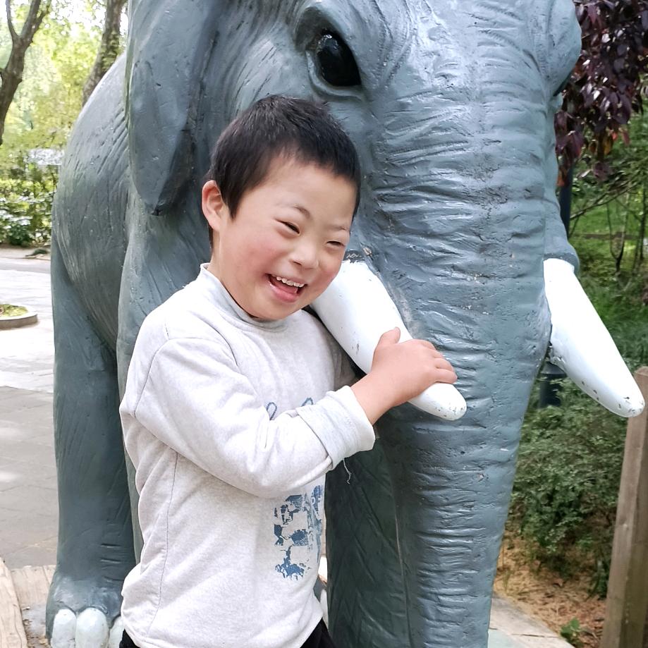 风信子