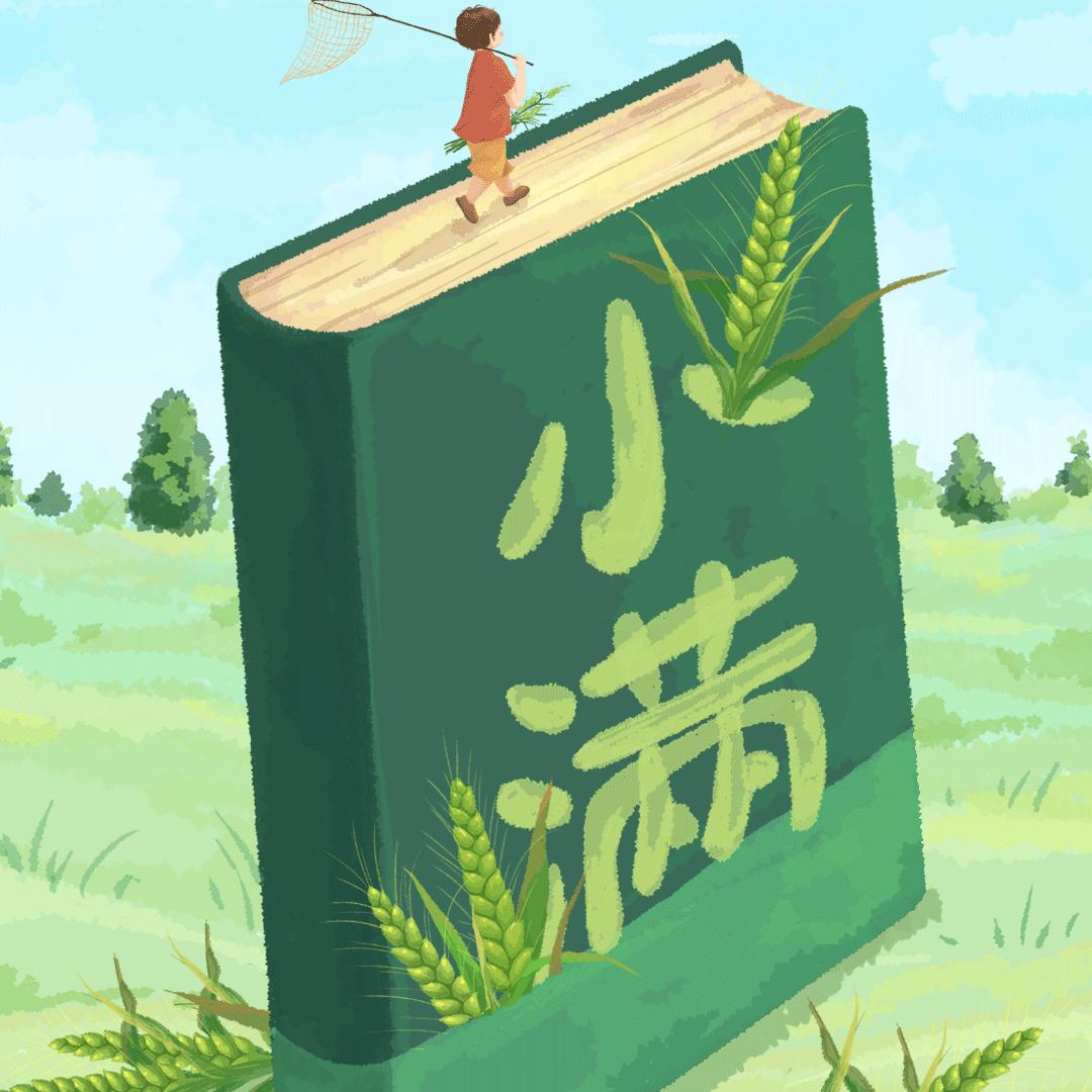 小   满