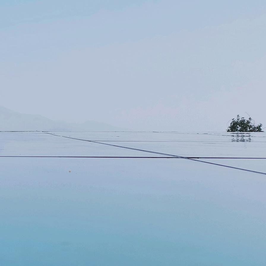 买手机的小天