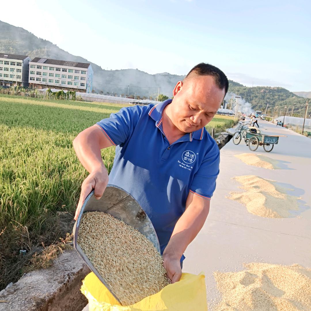 瑞安市胜绿蔬菜专业合作社共富工坊