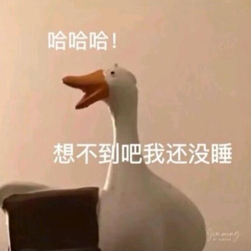 略略略~