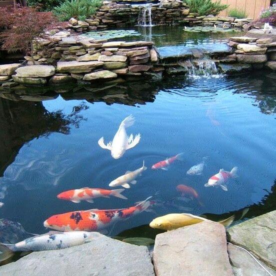 云梦辰昕生态景观