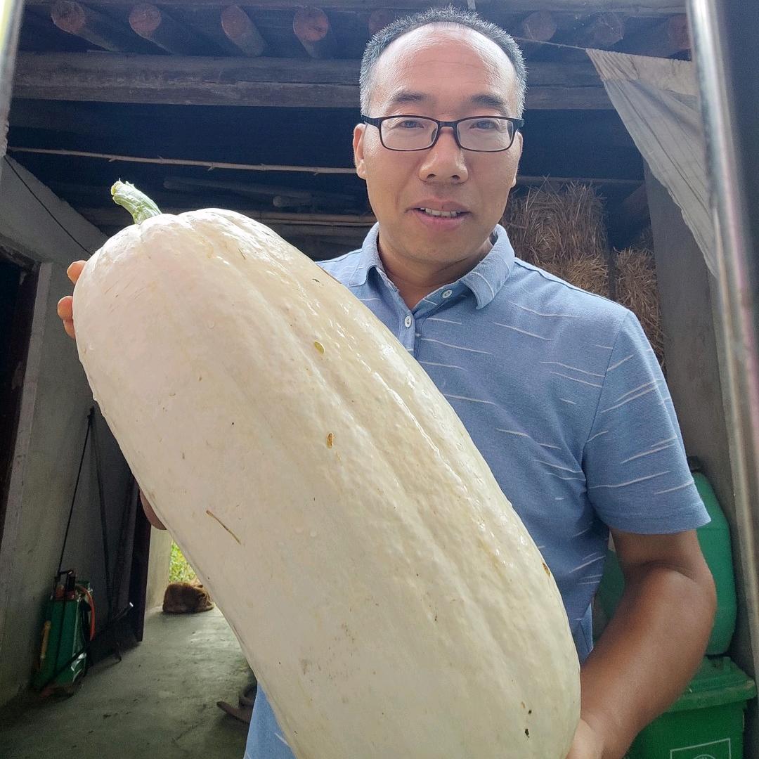 《庄.稼.汉》