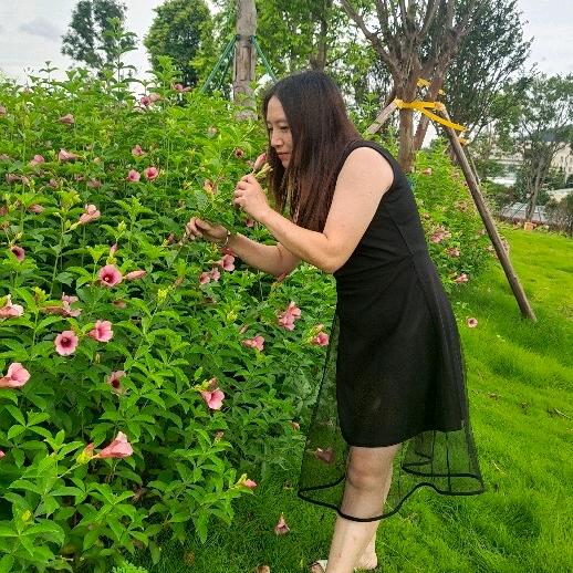 追求幸福的女人