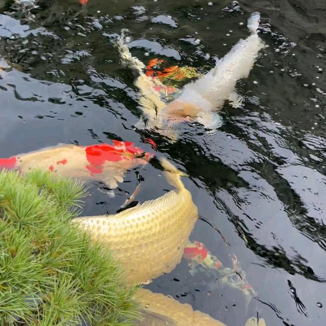 知足常乐，赵淑云