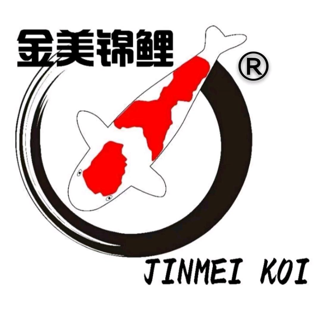 广东金美锦鲤
