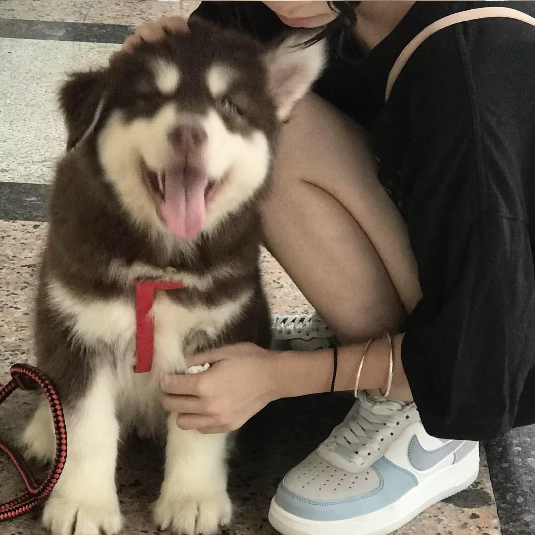 乐乐乐乐乐乐🍊