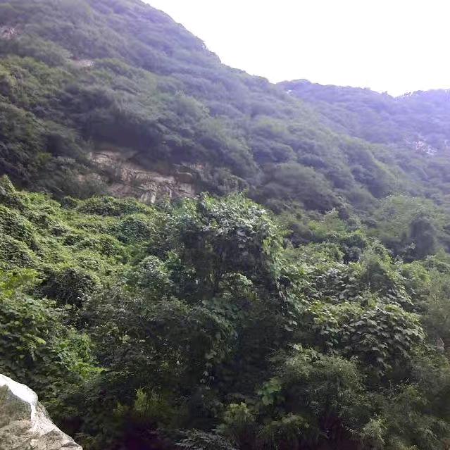 好利来