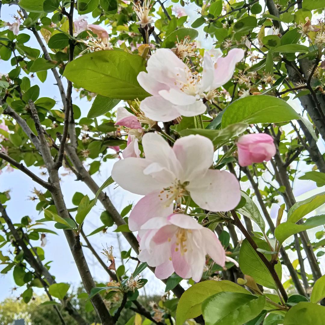 海阔天空户28712