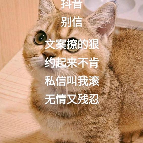结婚是个高消费