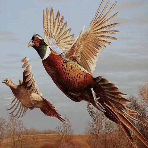 钱杆子里出政权