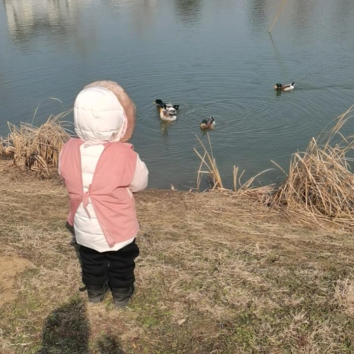 齐必达