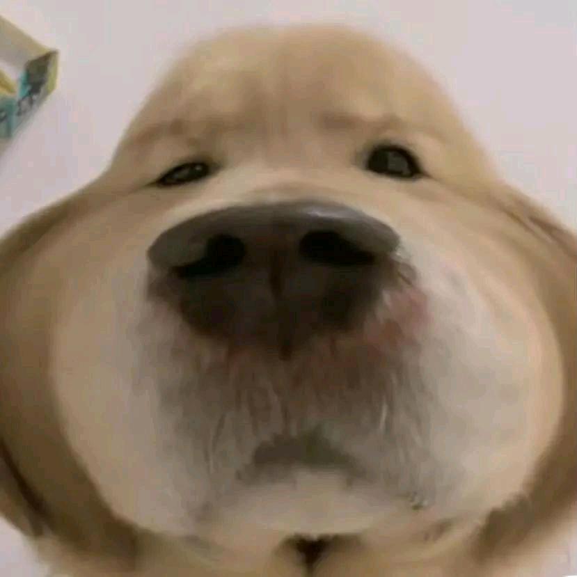 真好吃推文