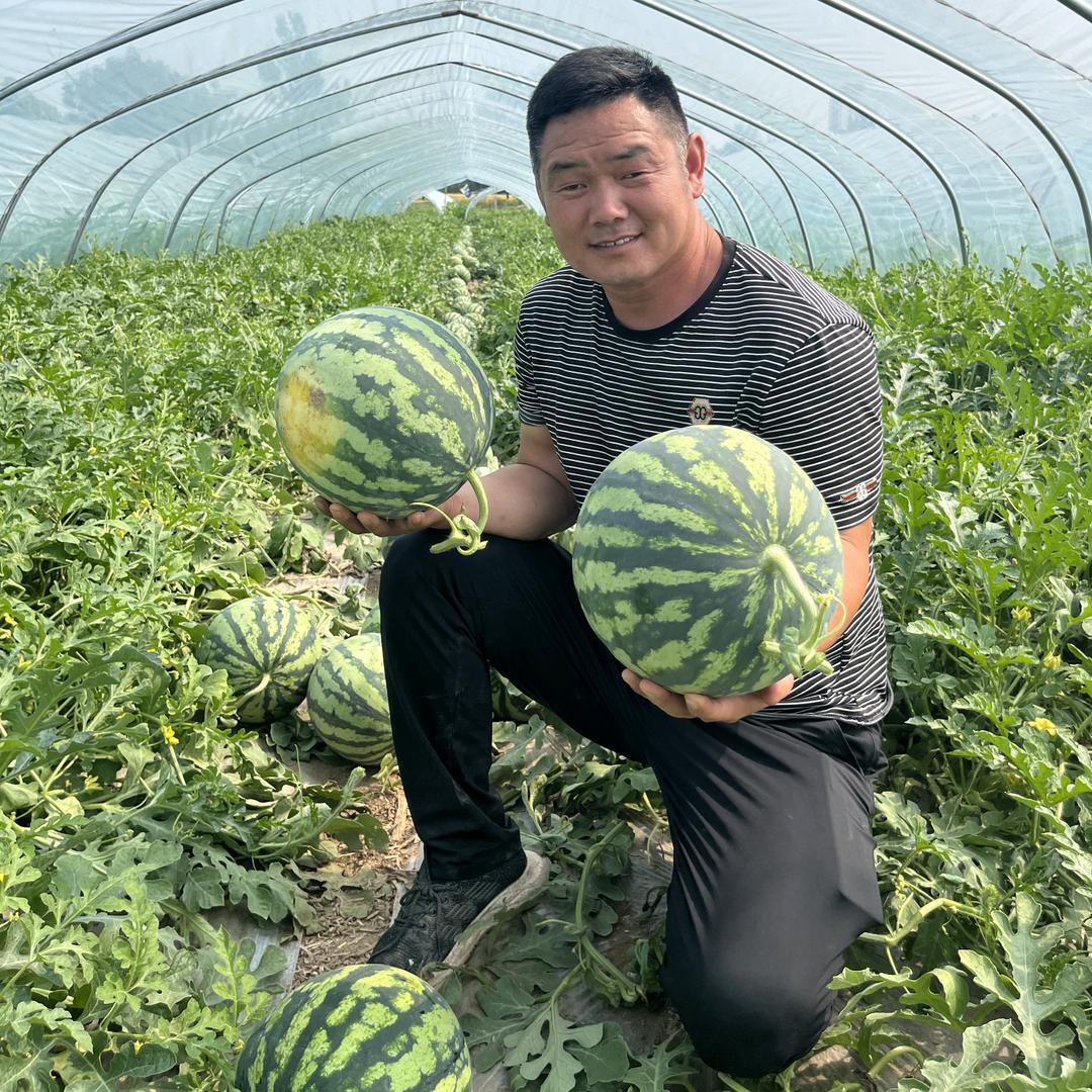 崔县委农资
