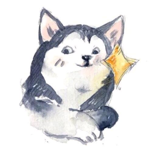 🐺浪