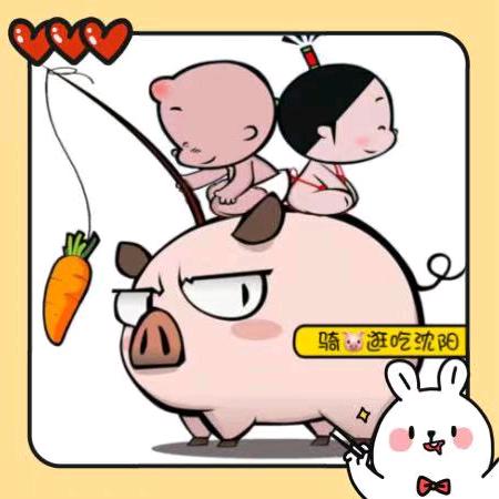 骑小猪逛吃沈阳