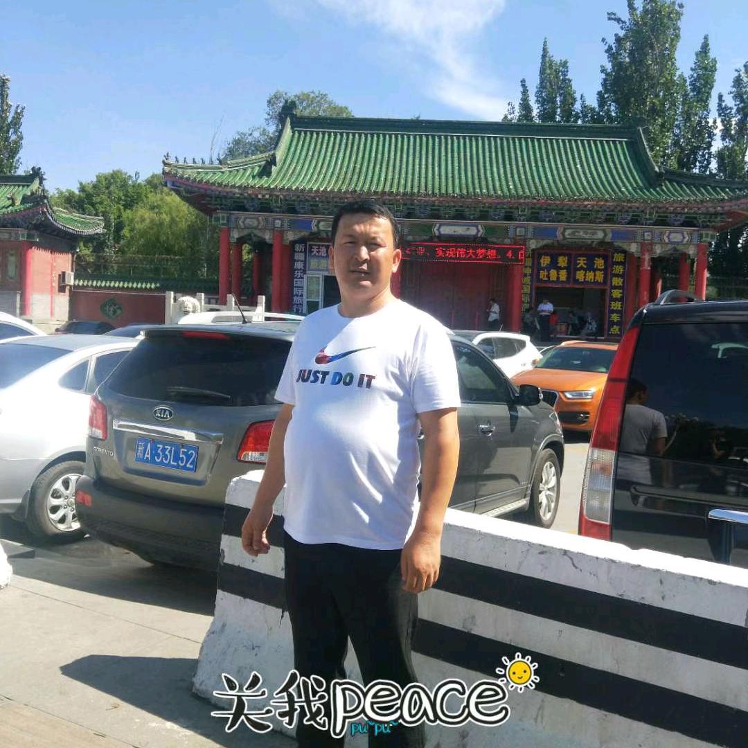 美丽的鸽子 大王