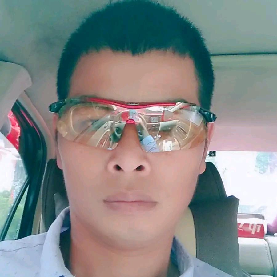 与你同行陶柿