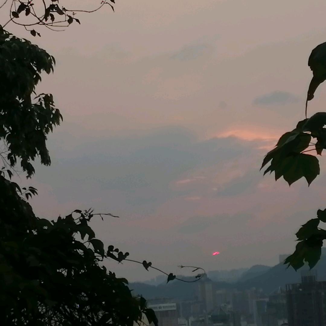 见月不问风