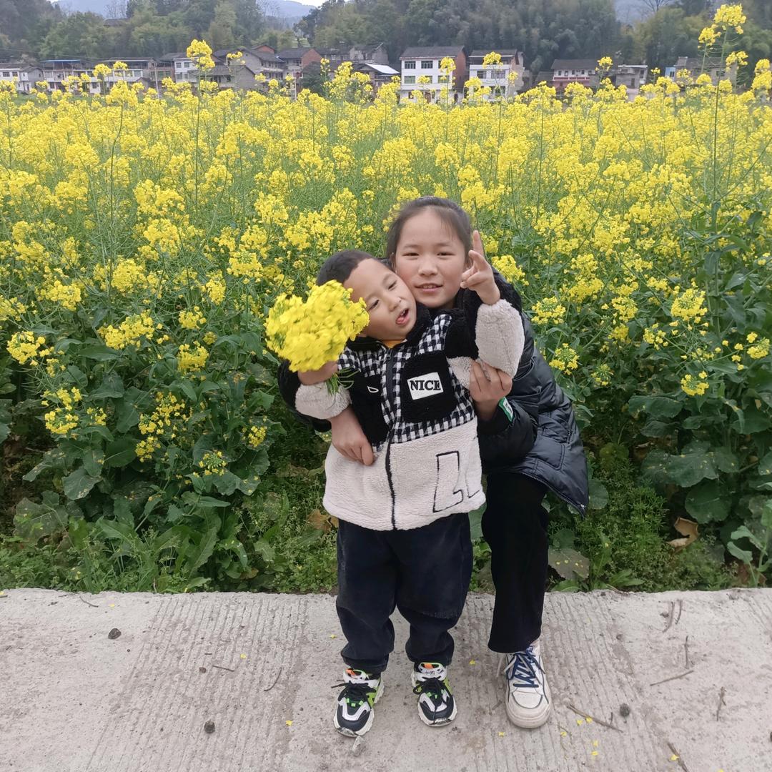 💫☘️幸运草☘️💫