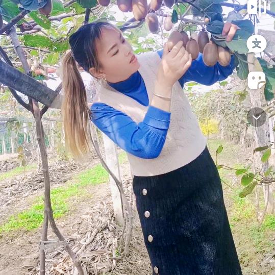 陕西农户《刘小主》