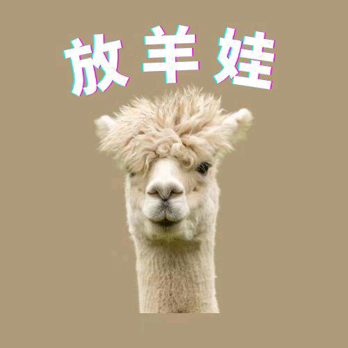放羊娃