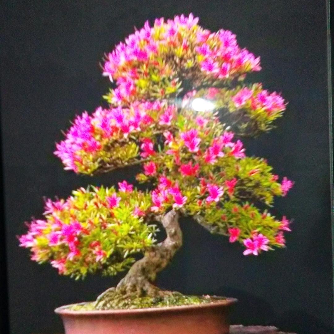 用户天天快乐