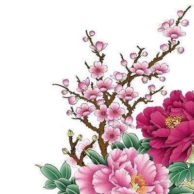 是毛象呀