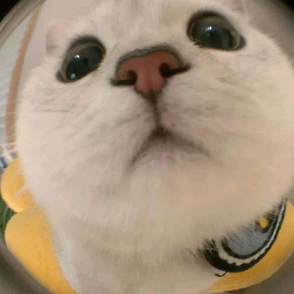 嘿嘿嘿^0^