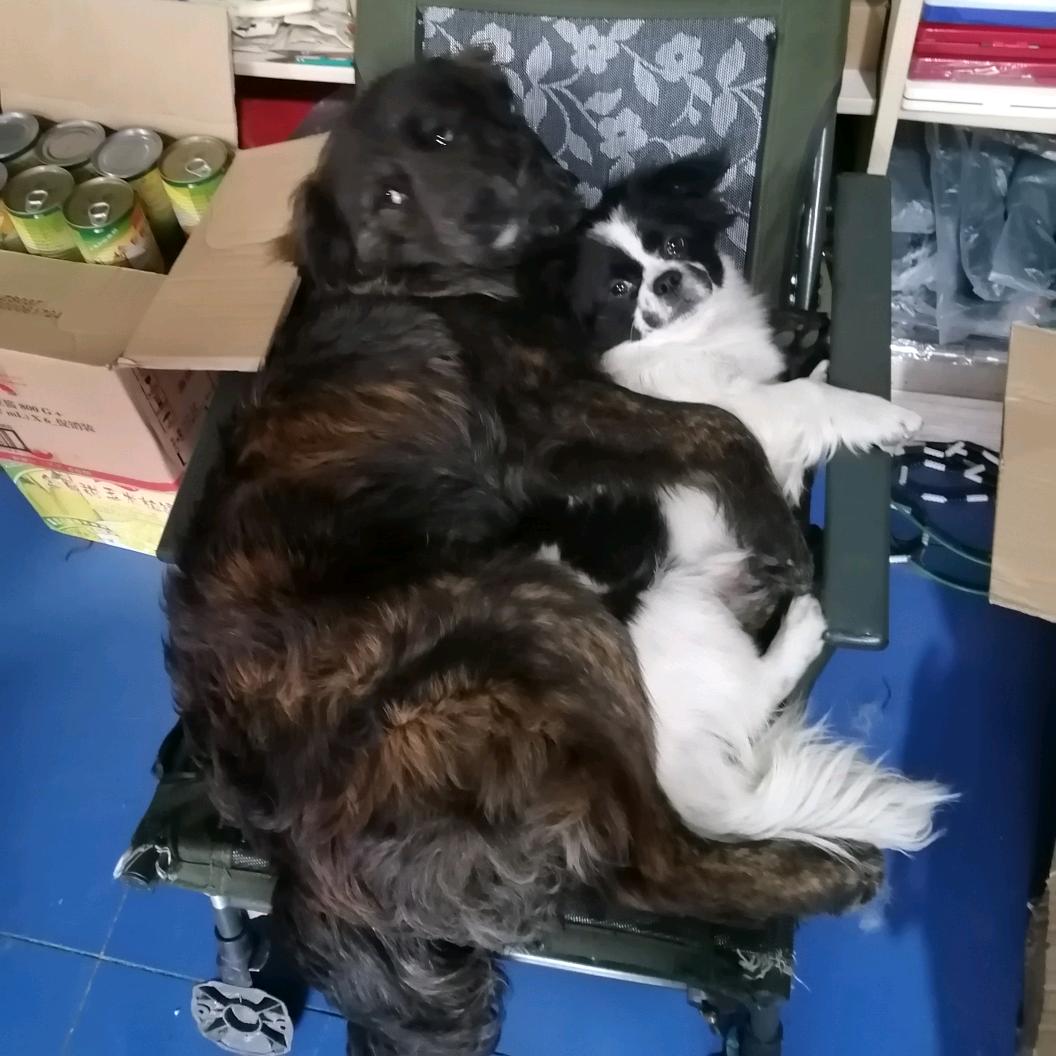 A急@@找(￣o￣) 我