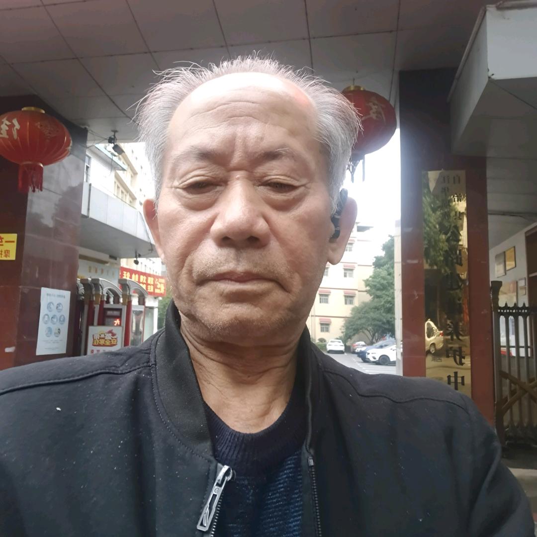 不老松