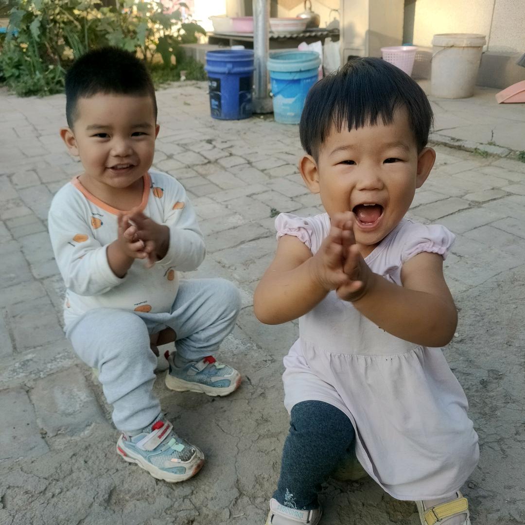 沈树春