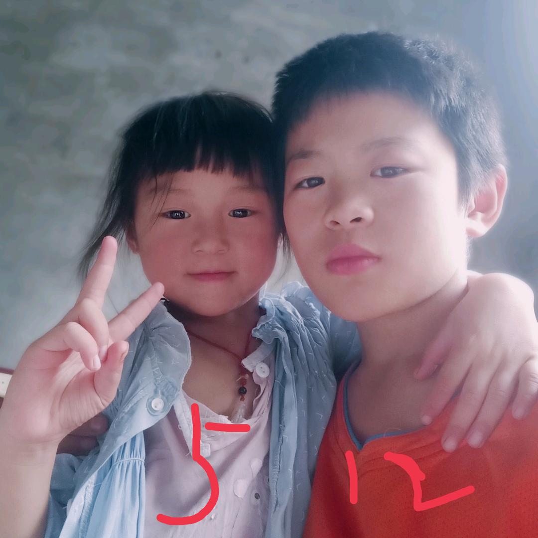 全琴