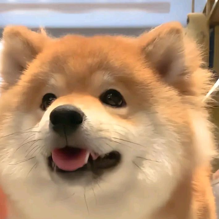 今晚给你们豆沙了.