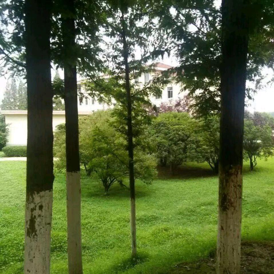 蓝天