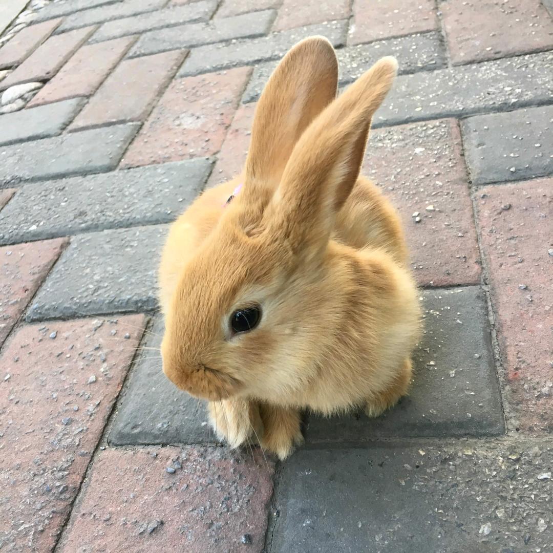 高中物理李老师(@紫晶城)