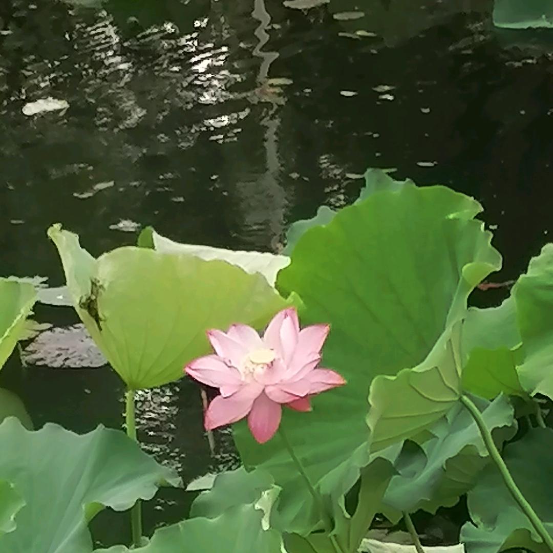 珍惜1314