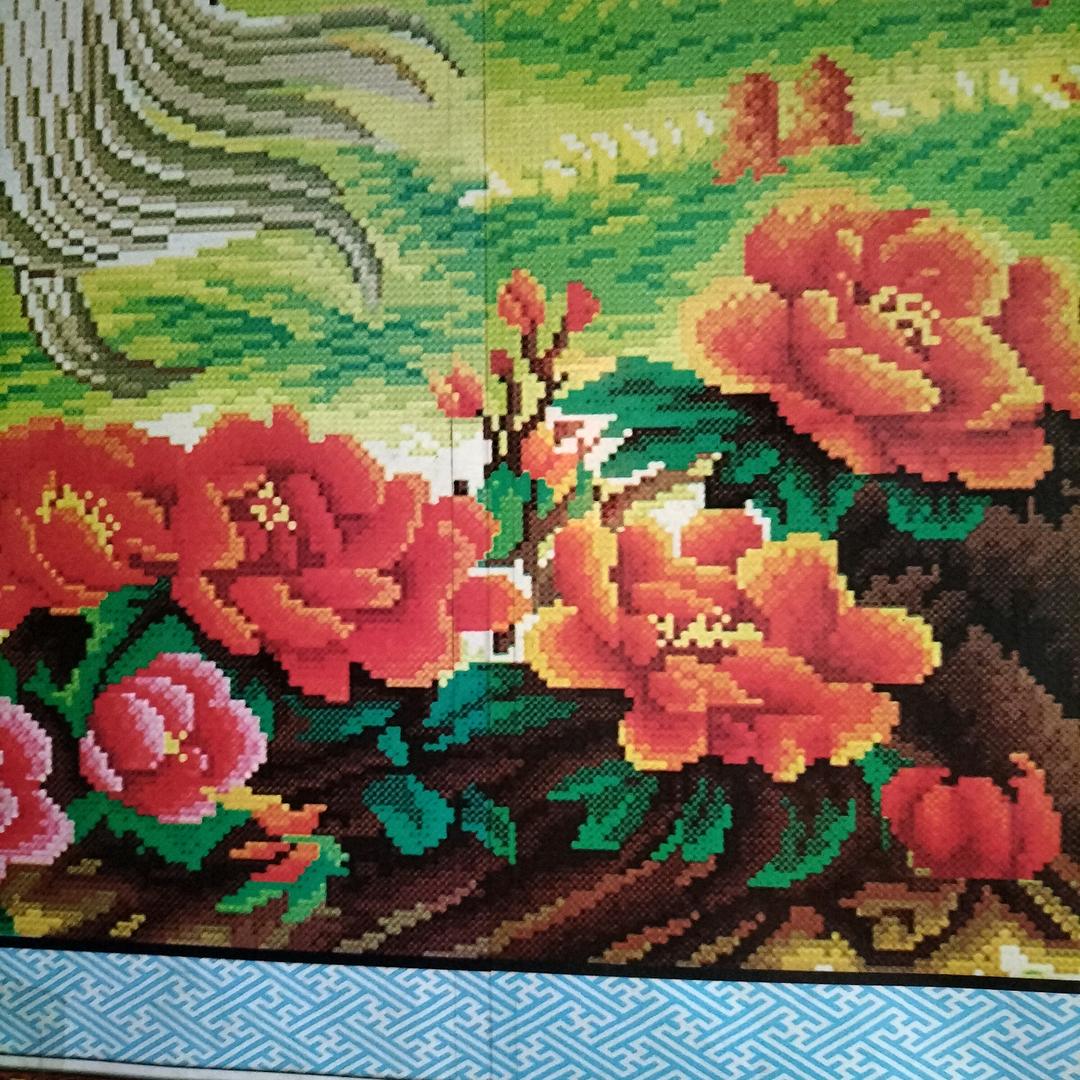 苗翠红