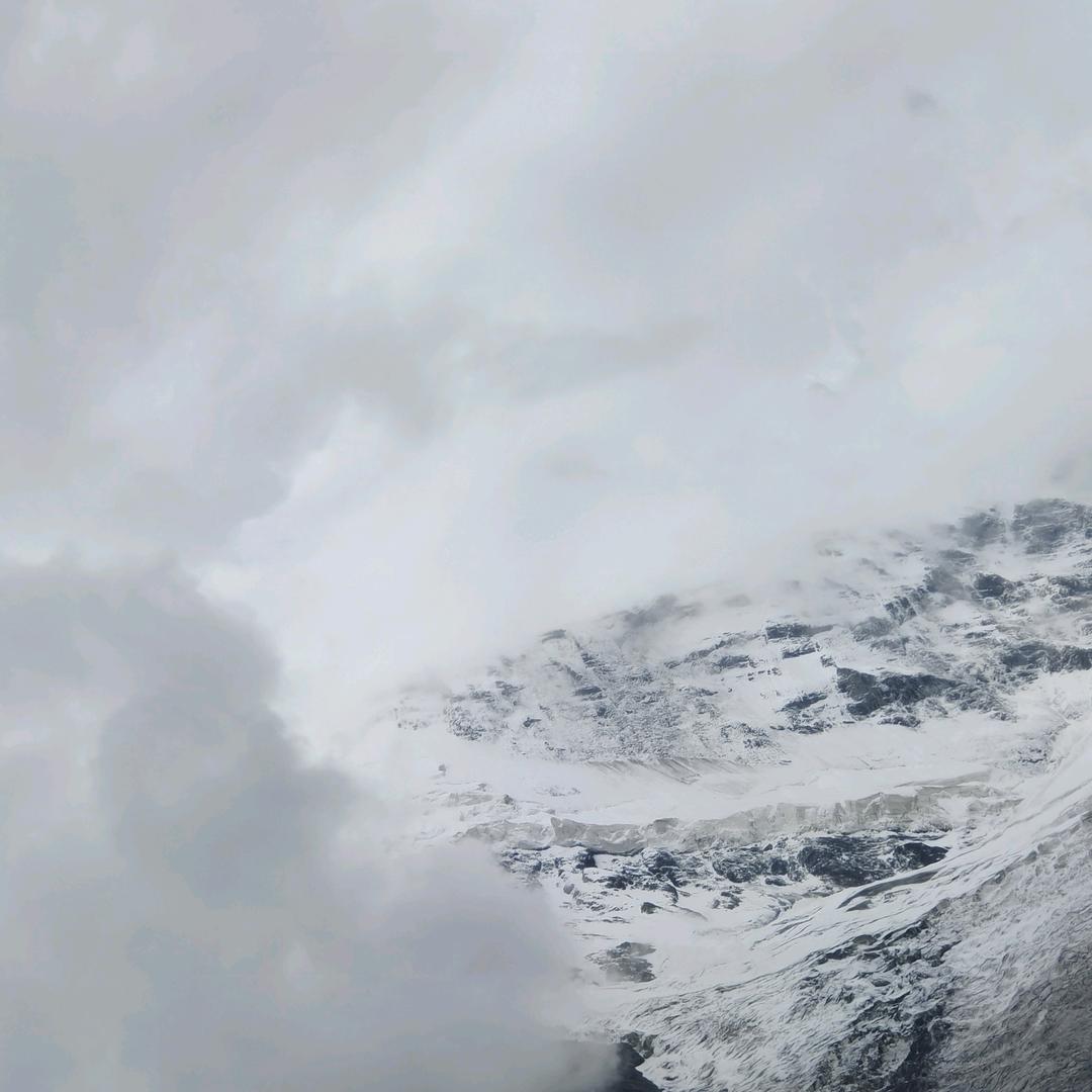 鱼游