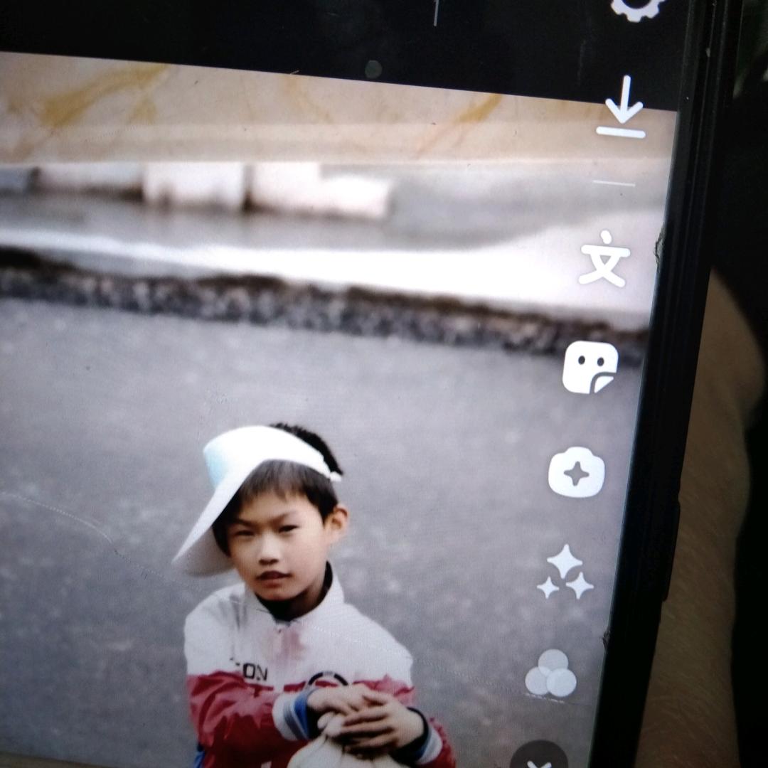 狗狗