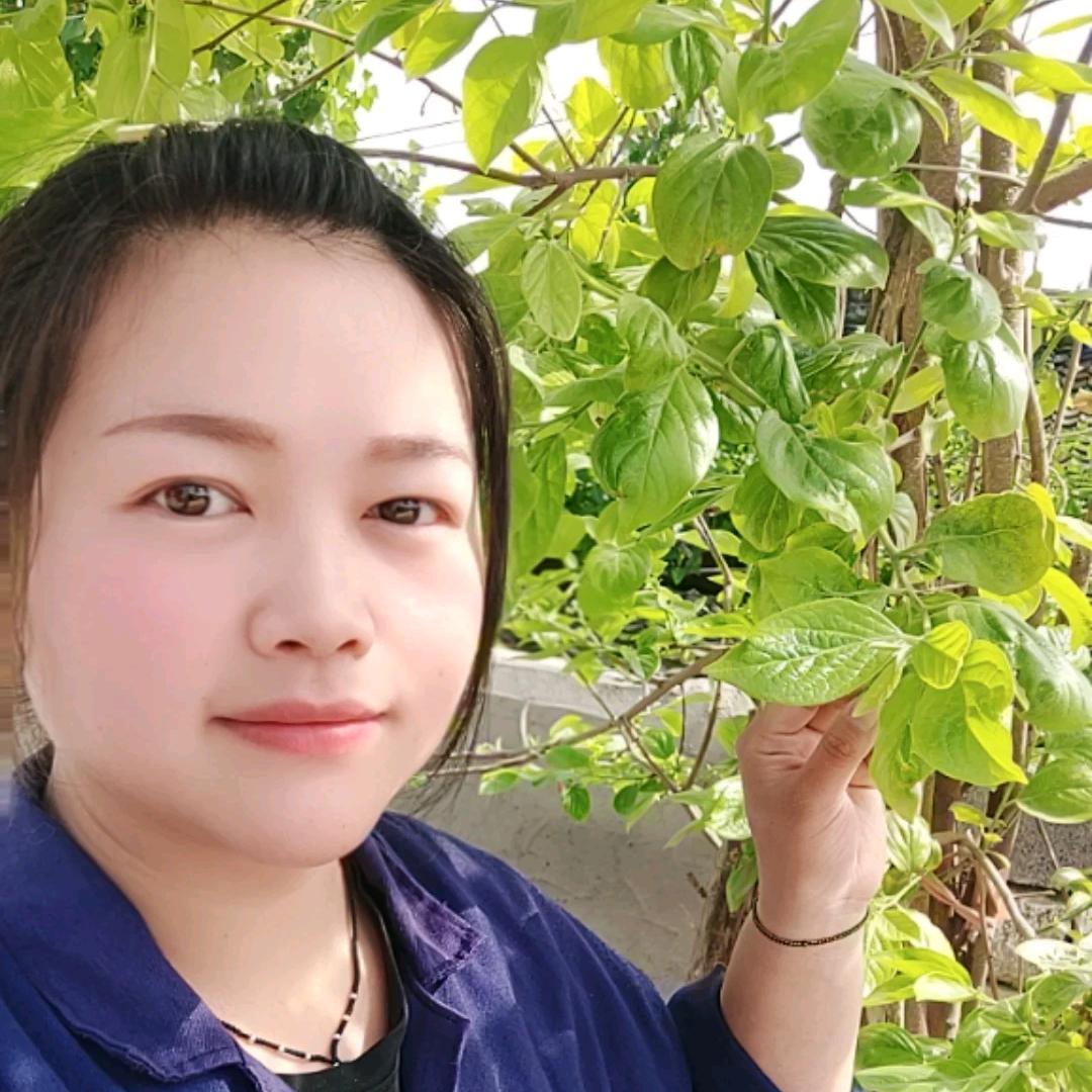 大妞农资（商品在橱窗）