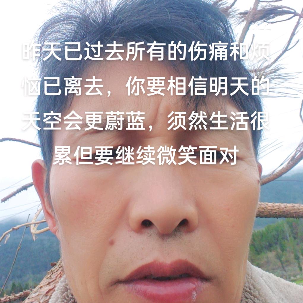 人生的伤痕