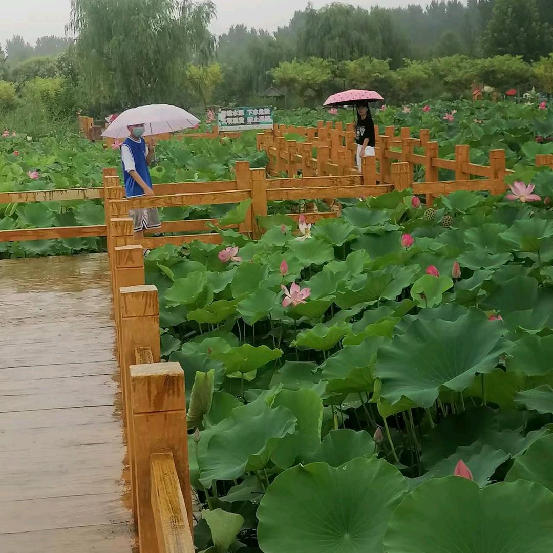 老张师傅