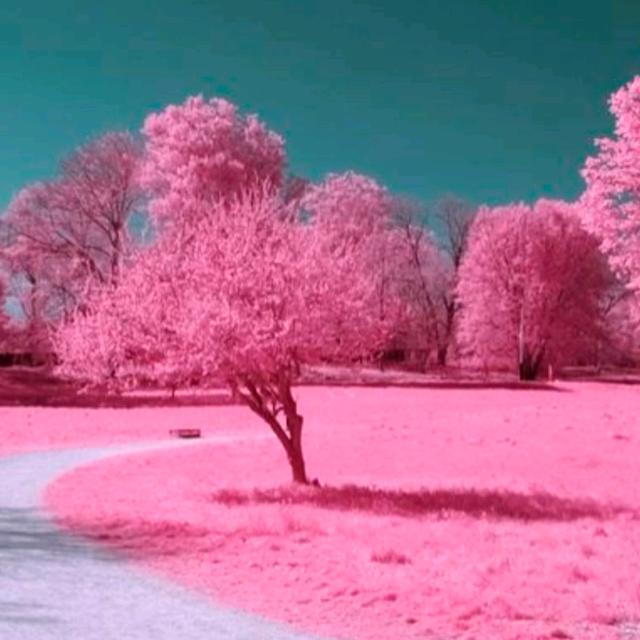 永动马达