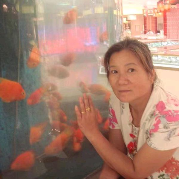 迷茫